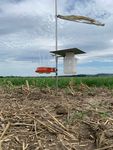 Das Bild zeigt zwei verschiedene Sammler zur Erfassung der Ammoniak-Emissionen im Feld.